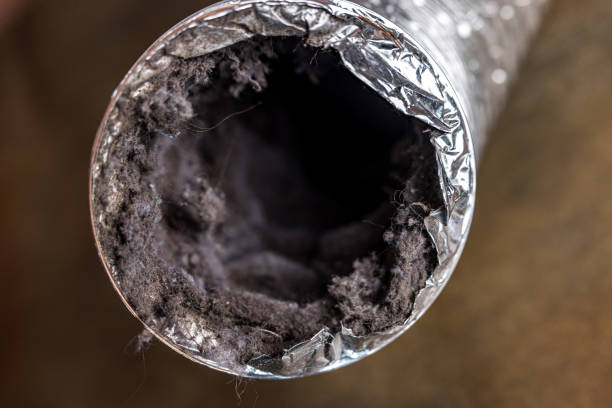 Best Air Duct Cleaning Near Me  in Sparta, MI