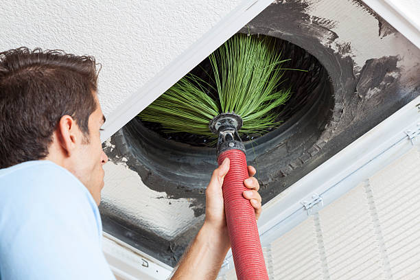 Best Local Air Duct Cleaning Services  in Sparta, MI